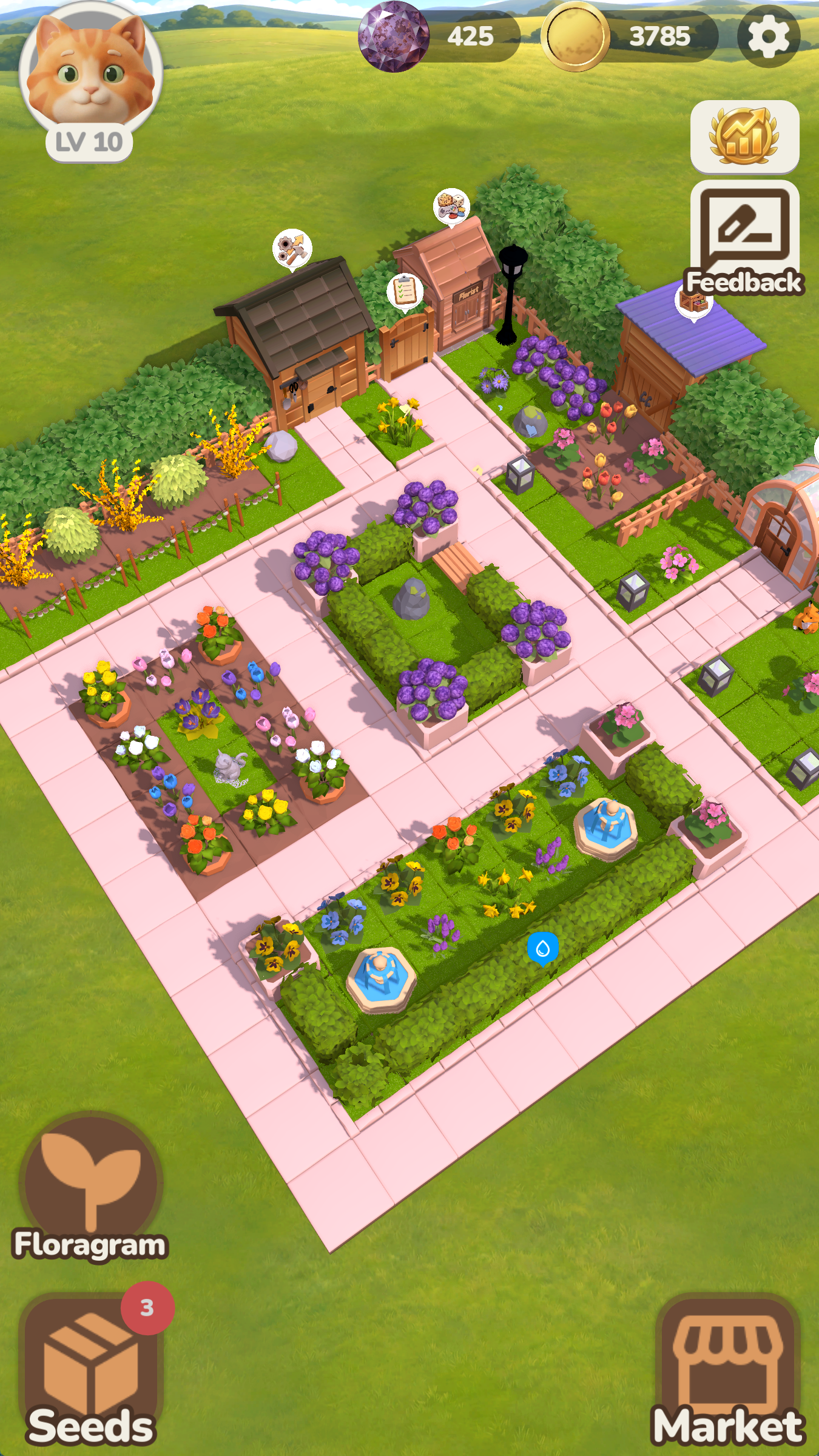 Create Your Oasis